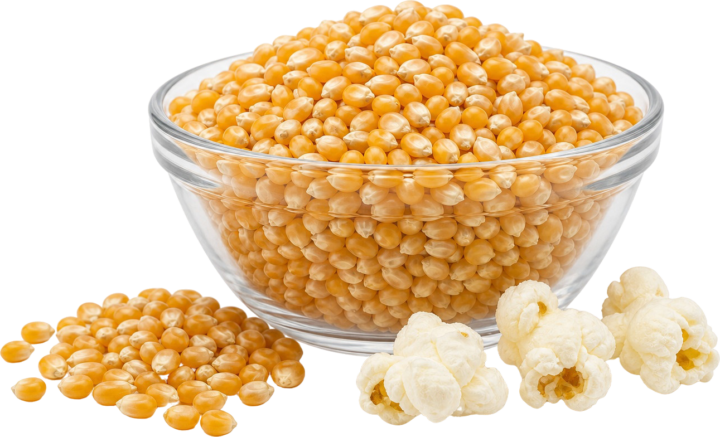 Popcorn Kernels