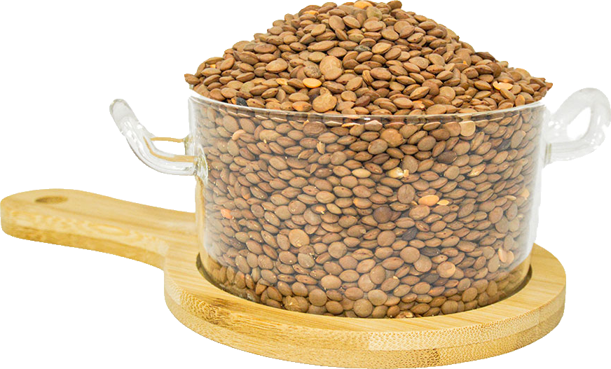 Brown Lentils, Whole (Masoor Sabit)
