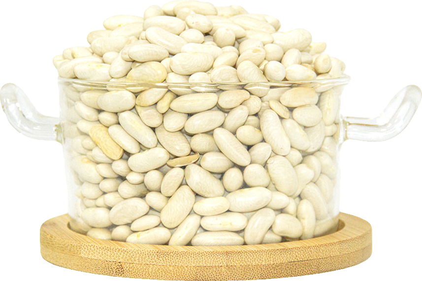 White Kidney Beans