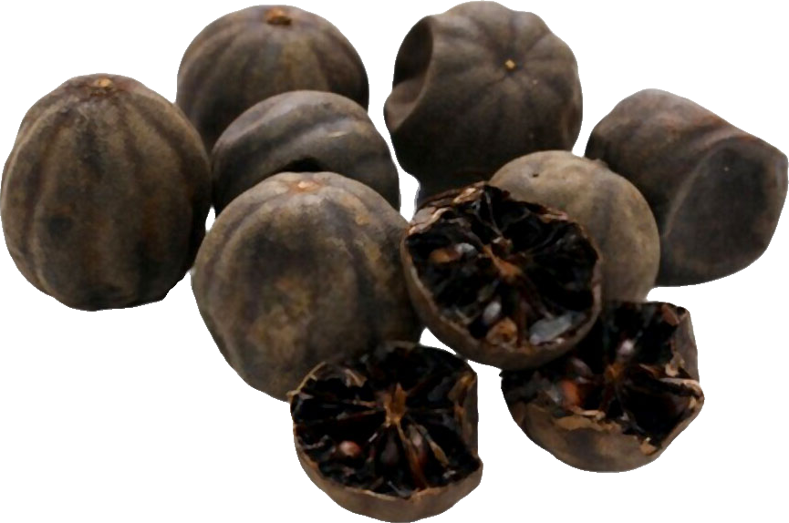 Dried Lemon (Loomi)