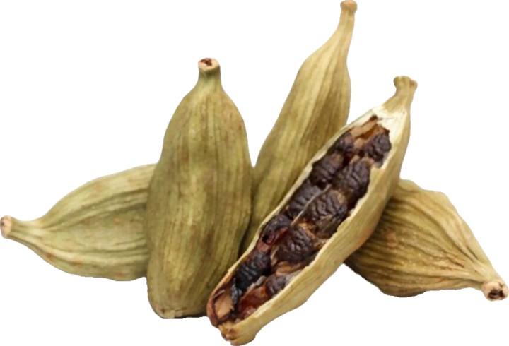 Green Cardamom, Open (Illychi Open)
