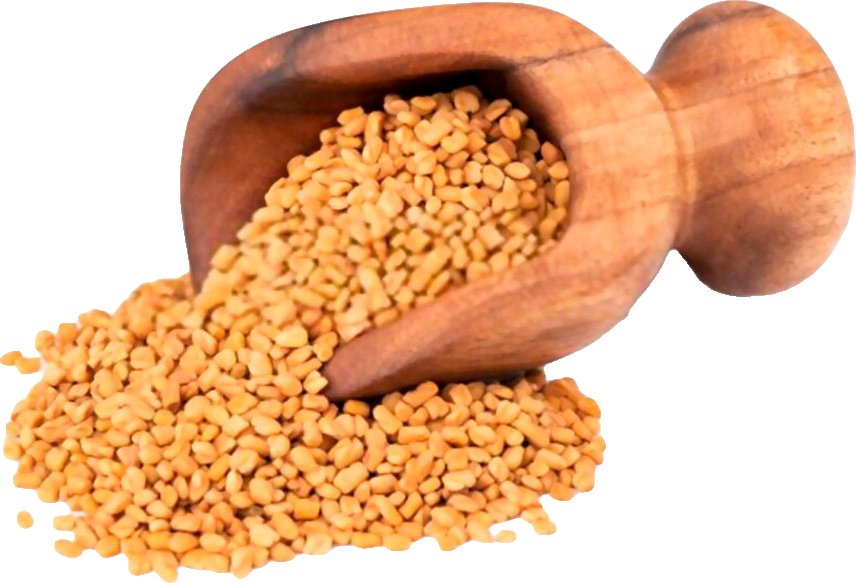 Fenugreek Seed (Methi)