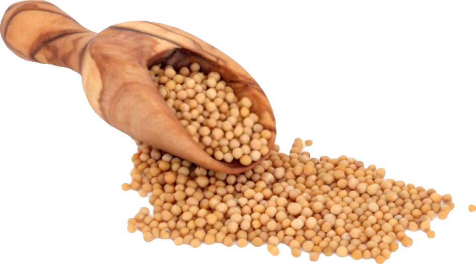Mustard Seeds