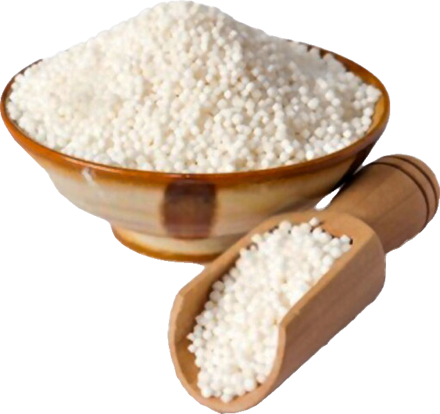 Sago Seeds