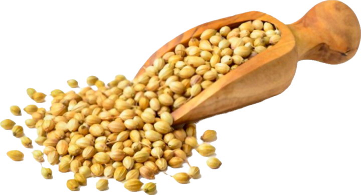 Coriander Whole (Dhaniya)