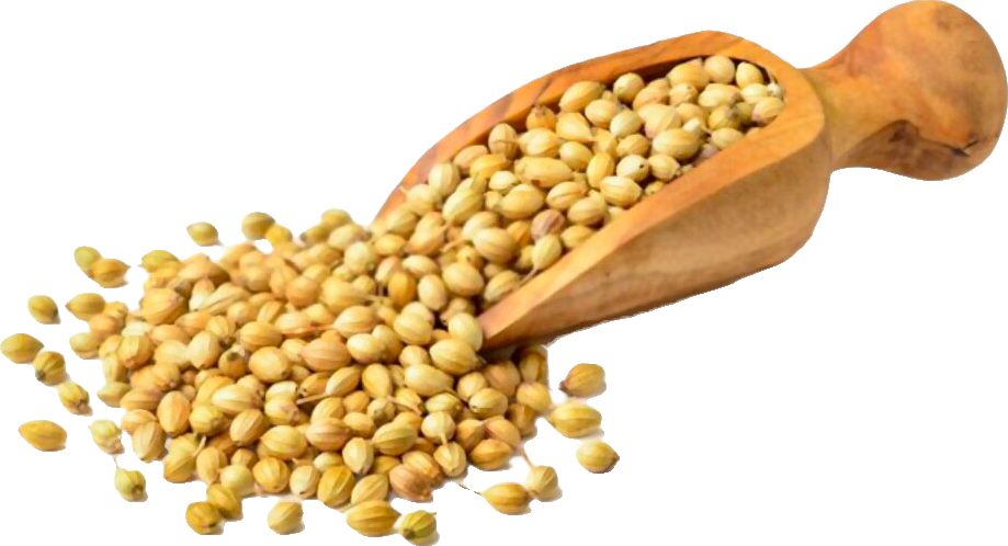 Coriander Whole (Dhaniya)