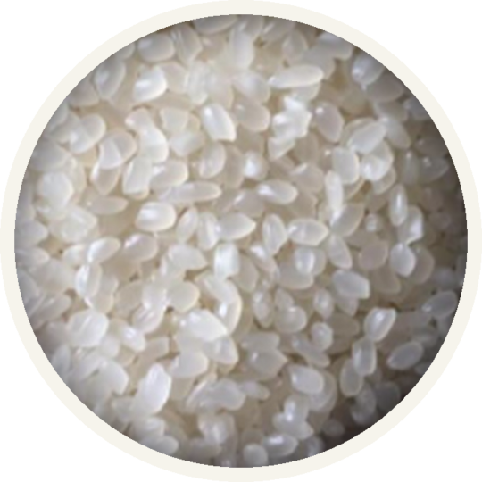 Calrose / Egyptian Rice