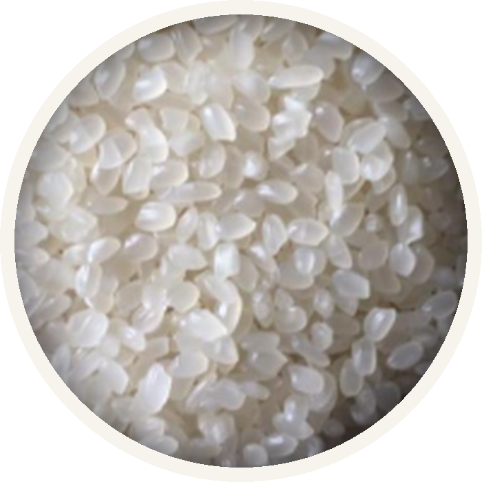 Calrose / Egyptian Rice