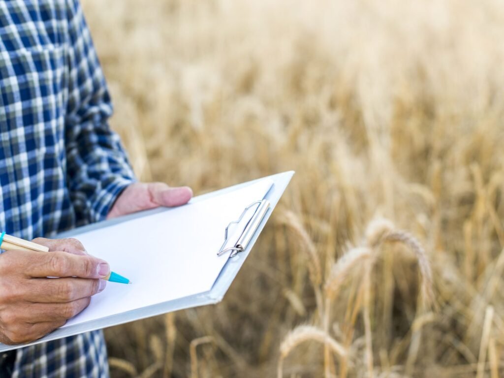 A clipboard of notes held in front of a ripe grain field